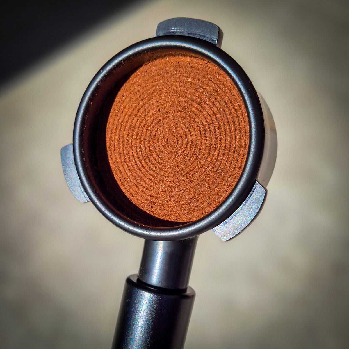 Self Levelling Coffee Tamper (Black/Walnut)
